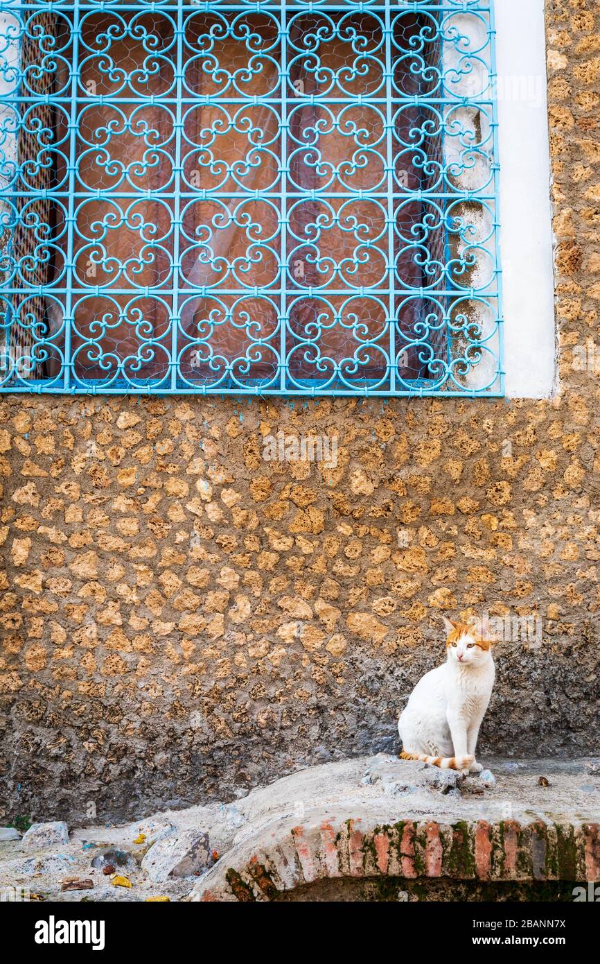 Chefchaouen, Maroc Banque D'Images