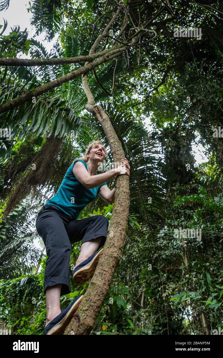 Une femme qui monte un arbre dans les jardins botaniques d'Entebbe, en Ouganda Banque D'Images