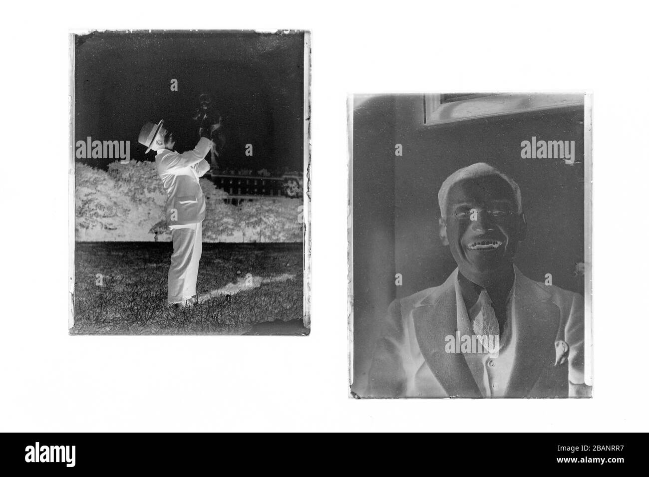 Plaque de verre négative Banque D'Images