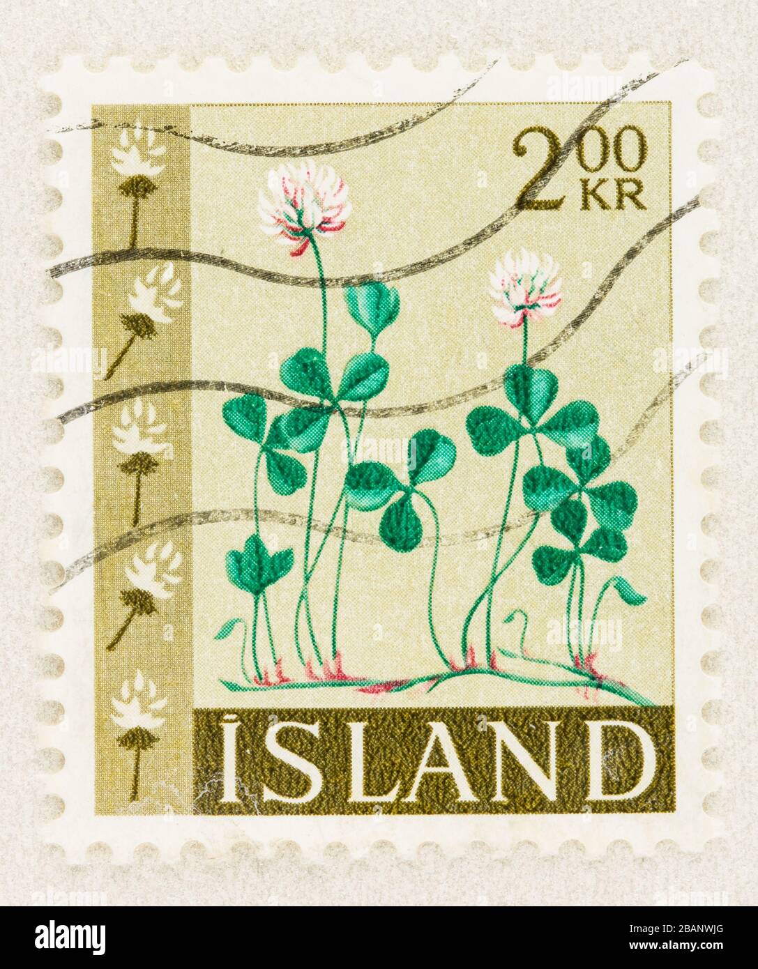 SEATTLE WASHINGTON - 28 mars 2020: Gros plan du timbre d'Islande d'occasion avec trèfle, une plante indigène. Scott # 366. Banque D'Images