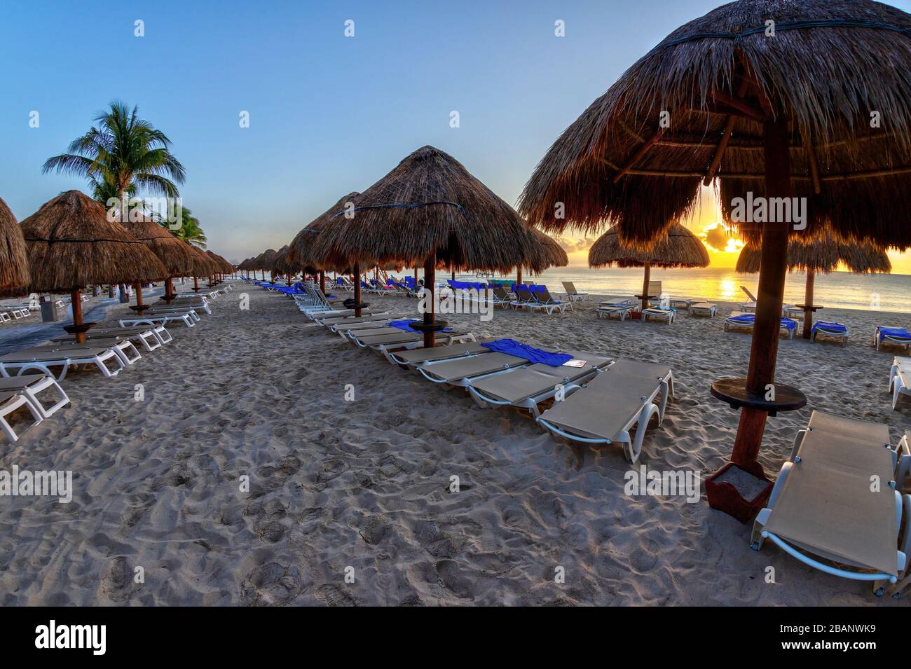 Lever du soleil doré sur des rangées de chaises longues et de parasols de palmiers lors de vacances sur une plage de sable des Caraïbes à Riviera Maya à Cancun, au Mexique. Banque D'Images