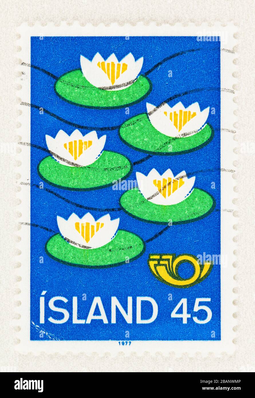 SEATTLE WASHINGTON - 28 mars 2020 : gros plan du timbre de coopération nordique de l'Islande comportant cinq nénuphars blancs sur fond bleu. Scott # 497 Banque D'Images