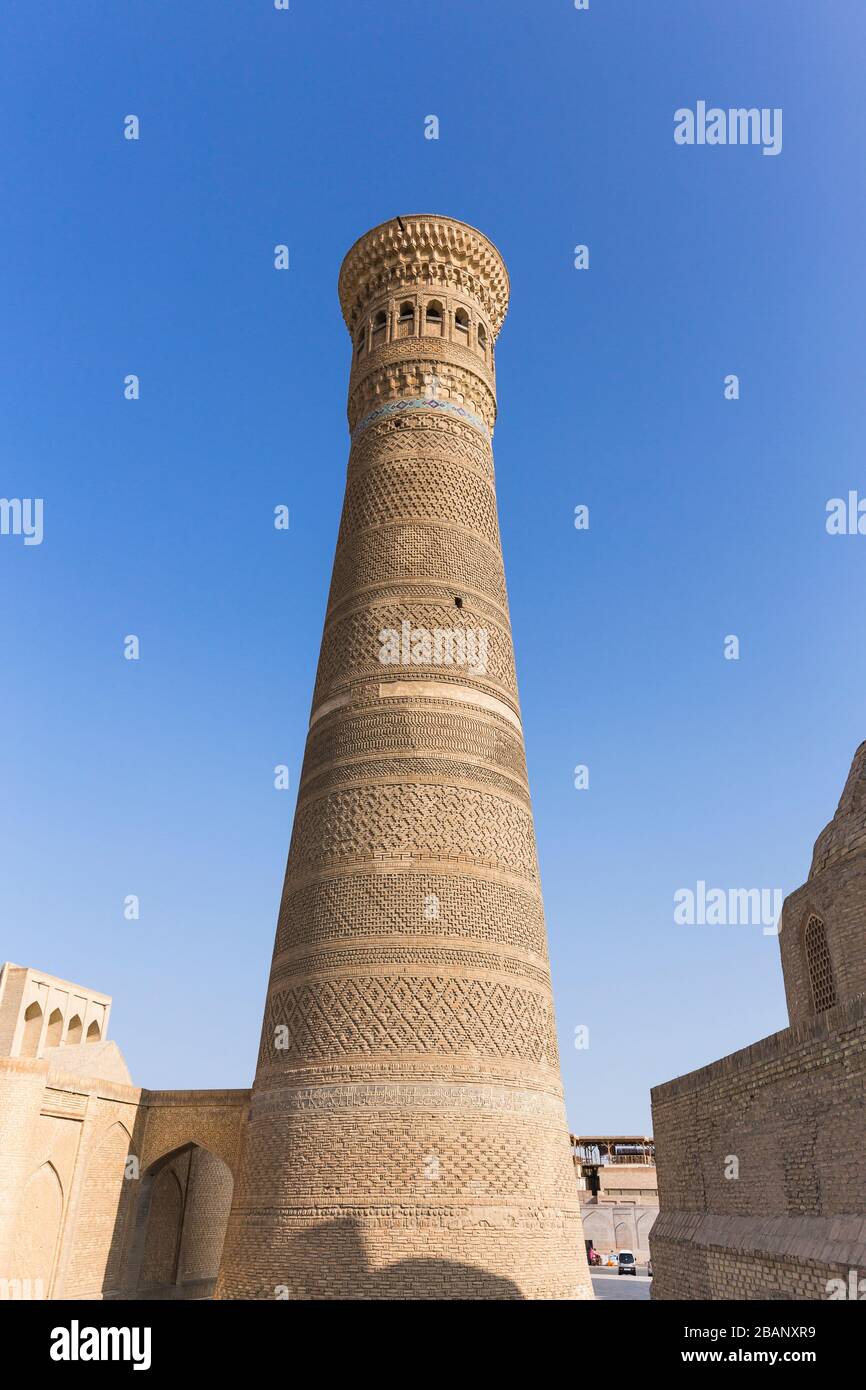 Kalon minaret, Boukhara, Buchara, Ouzbékistan, Asie centrale, Asie Banque D'Images