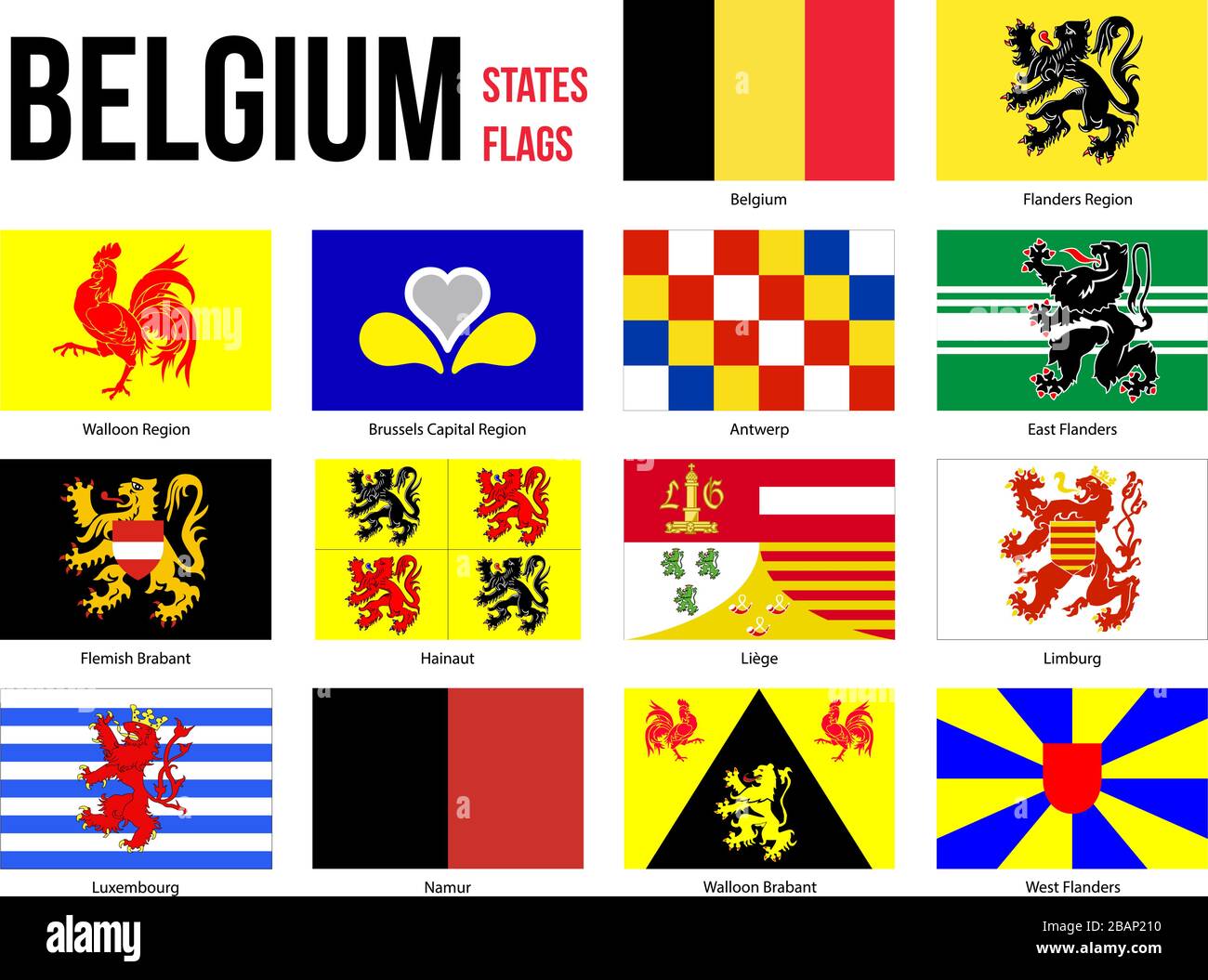 Toutes les provinces de la Belgique Région & Drapeau Vector Illustration sur fond blanc. Drapeaux de Belgique. Bonne taille, de proportions et de couleurs. Illustration de Vecteur