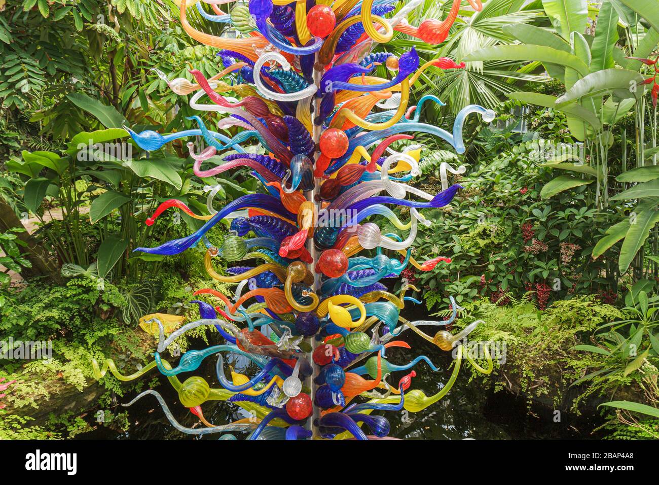 Miami Florida, Coral Gables, Fairchild Tropical Botanic Garden, Chihuly, verre soufflé, art, FL110516027 Banque D'Images