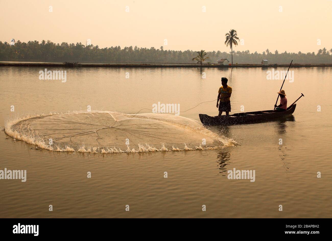Pêche dans les zones rurales du Kerala, Kochi ou Cochin comme destination touristique dans kerala.Kerala le propre pays.Casting filet de pêche de Dieu dans les backwaters du kerala. Banque D'Images