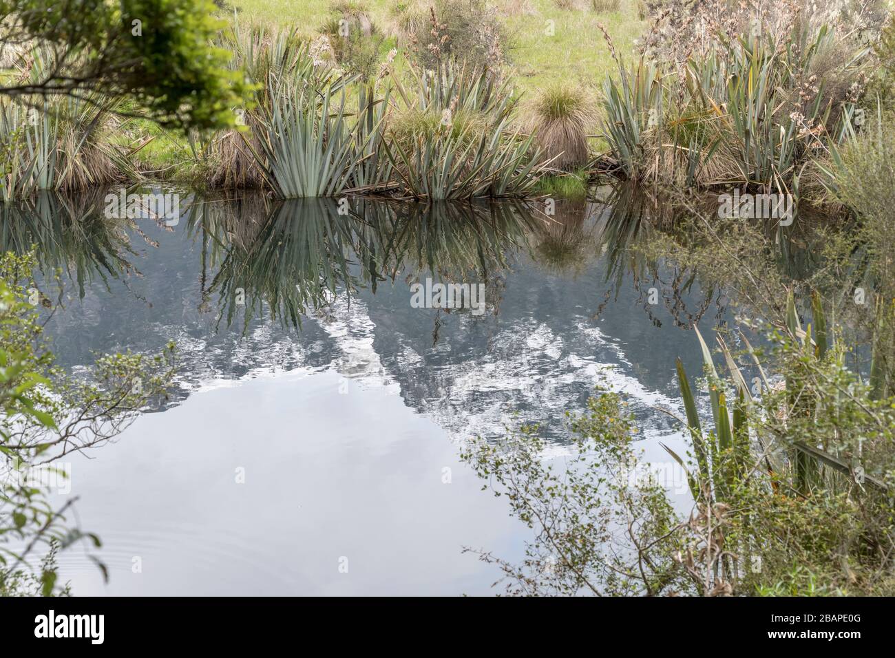 L'aire de répartition des monts Earl enneigés se reflète dans l'eau des lacs Mirror, filmée dans une lumière vive et nuageux au parc Fiordland, à Southland, à South Island, en Nouvelle-Zélande Banque D'Images