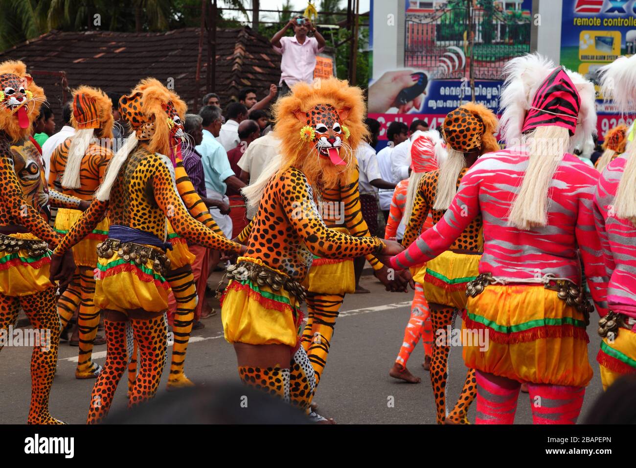 Pulikali traditionnel à Trissur, kerala pendant le festival d'Onam. Tigres peints chez l'homme Corps.corps art Banque D'Images