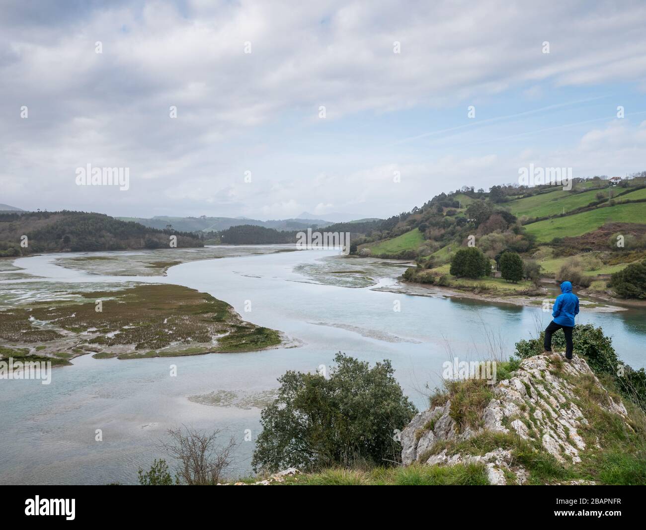 Voyageur qui regarde le maréchal de la rivière Pombo/Brazo Mayor, à San Vicente de la Barquera, Cantabrie, Espagne Banque D'Images