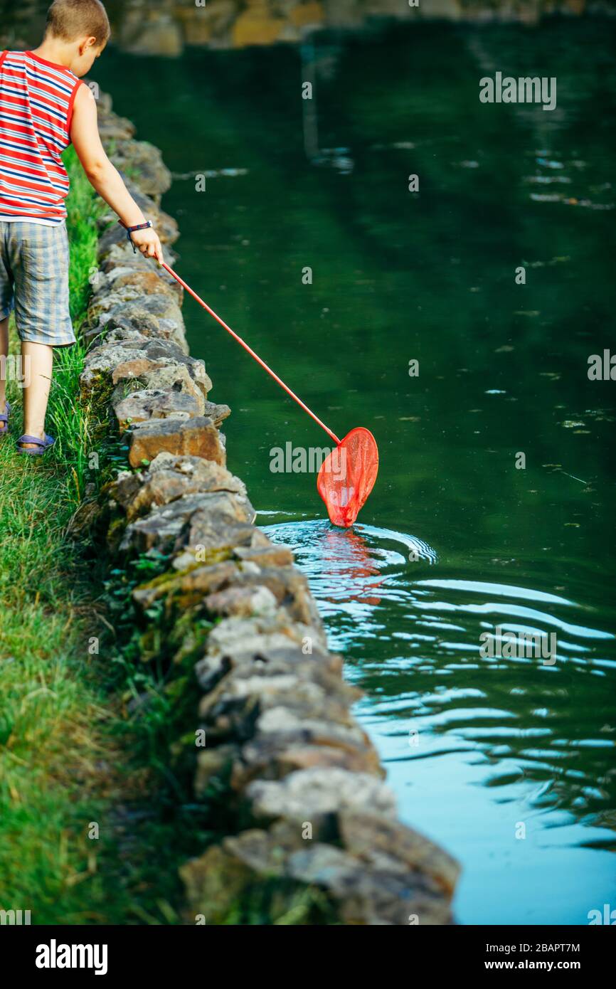 enfant avec filet de poisson regardant le tadpole dans le lac Banque D'Images