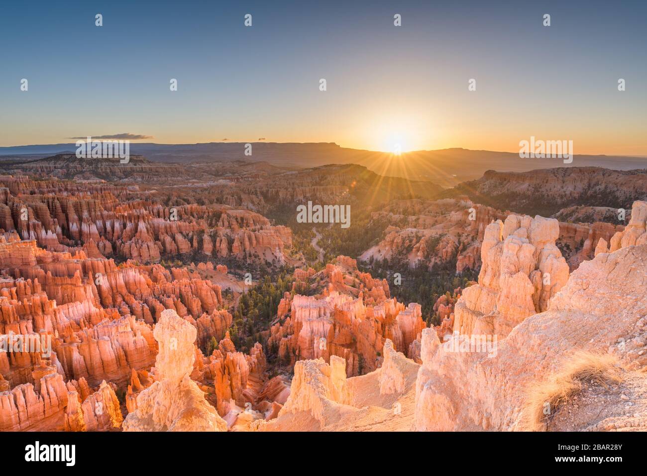 Bryce Canyon National Park, Utah, USA à l'aube. Banque D'Images