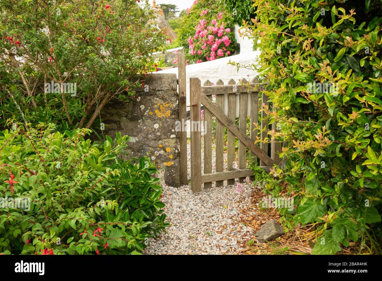 Porte de jardin en bois au cottage et mur de pierre dans le petit village pittoresque de pêche de Cadgwith, Cornwall, Angleterre Banque D'Images