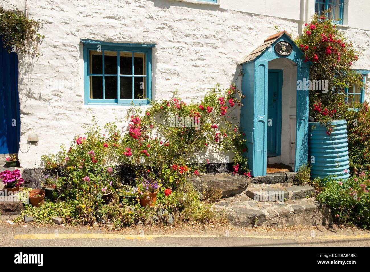Joli cottage traditionnel bleu et blanc 'Corner House' avec roses rouges et eau en métal bleu butt dans le village de Cadgwith, Cornwall, Angleterre Banque D'Images