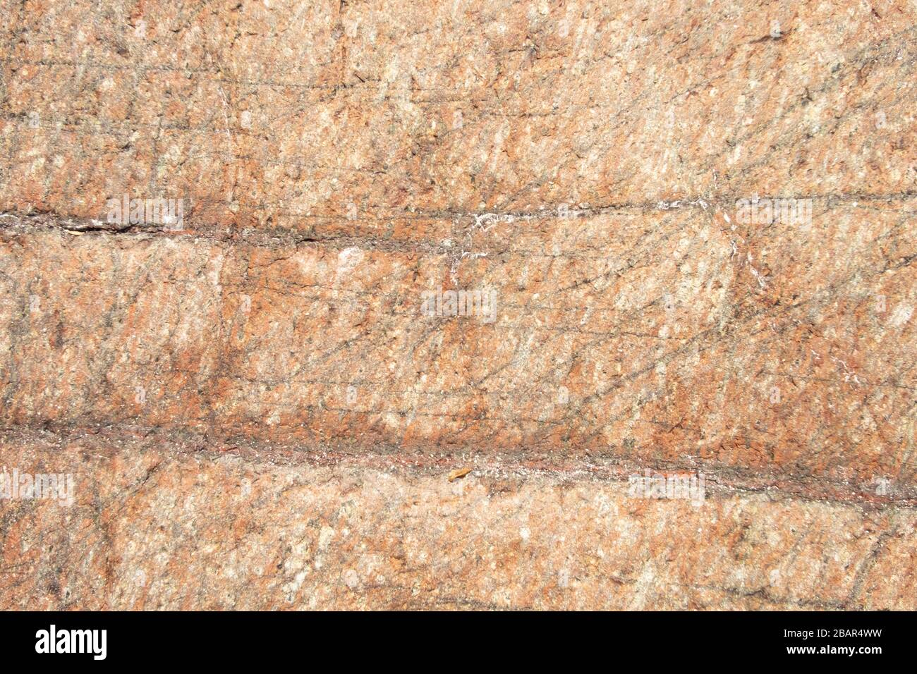 Gros plan de la surface rocheuse de couleur orange Banque D'Images
