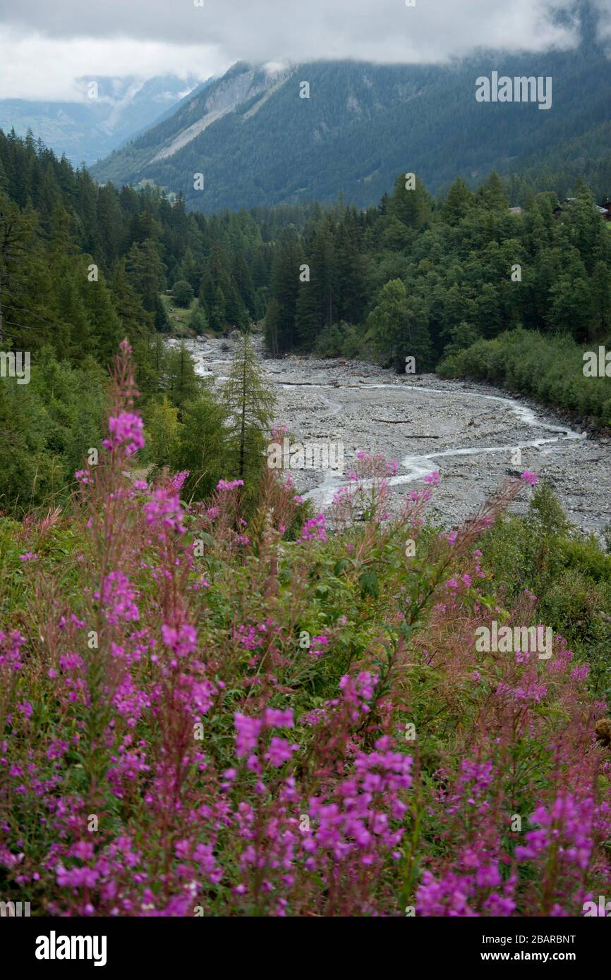vue sur la plaine inondable d'importance nationale à val ferret, valais, suisse Banque D'Images