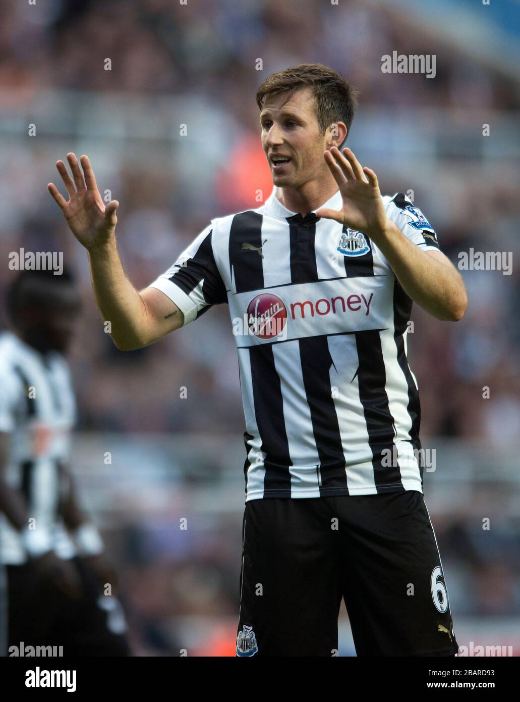 Mike Williamson, Newcastle United Banque D'Images