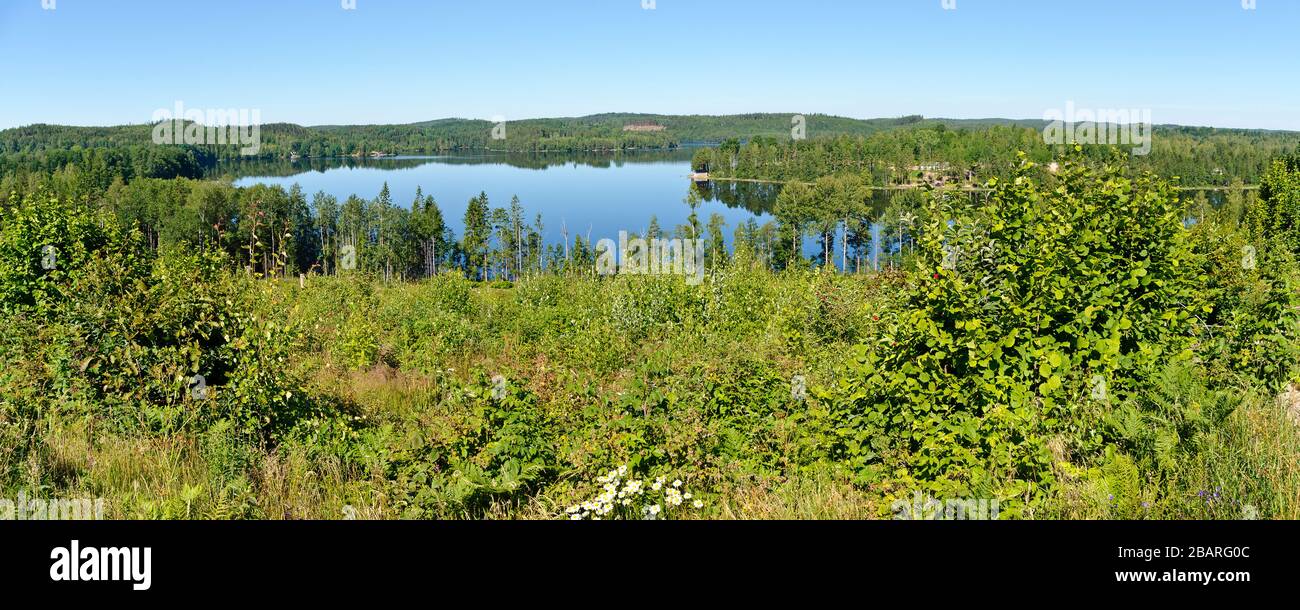 Vue panoramique sur le lac de Gissen et les forêts environnantes dans la région de Kalmar, en Suède Banque D'Images