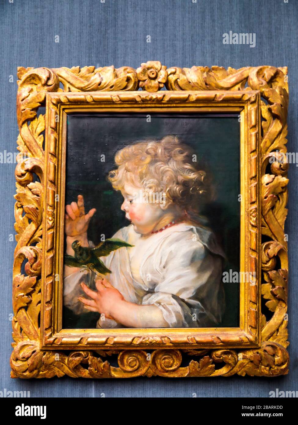 Garçon avec un oiseau de Peter Paul Rubens peint en 1625 dans la magnifique Galerie nationale ou Gemaldegalerie à Berlin Allemagne Banque D'Images
