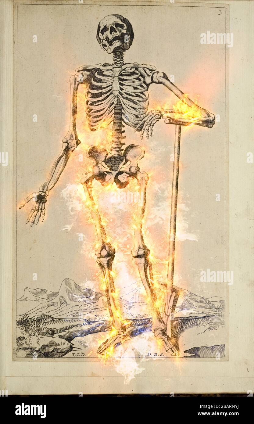 Image rehaussée numériquement d'un squelette avant plein corps masculin imprimé sur bois à l'ouverture du livre d'anatomie humaine 'Notomie di Titiano' imprimé dans ITA Banque D'Images