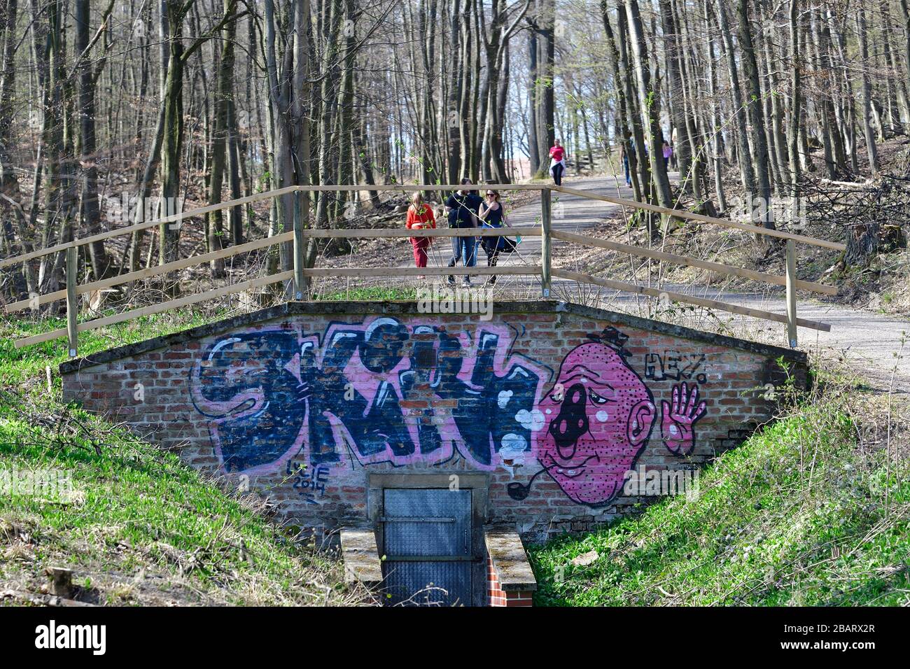 Vienne, Autriche. Lainzer Tiergarten. Aire de loisirs et destination populaire pour la population locale et les touristes à Vienne. Banque D'Images