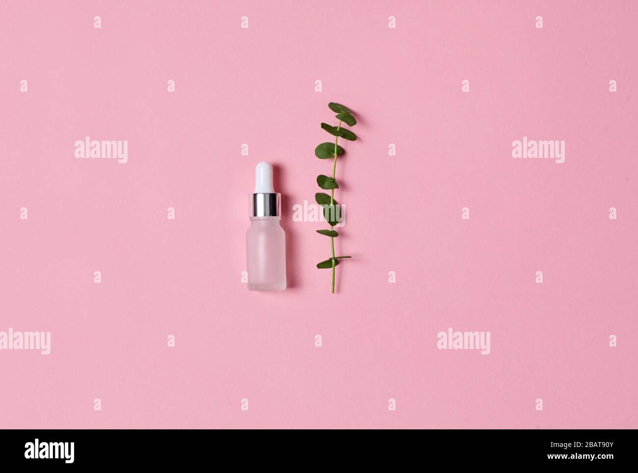 Soins de beauté. Acide lactique et plante isolée sur la vue de dessus rose Banque D'Images