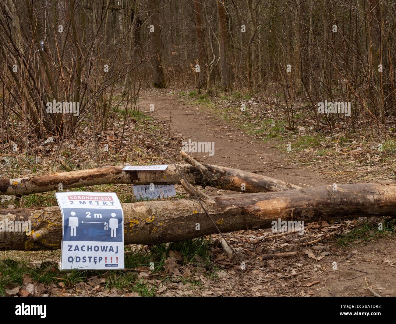 Le chemin dans la forêt de Kabacki avec des informations sur le maintien de la distance due à la pandémie de coronavirus. Traduction du texte: Coronavirus 2 mètres, garder diston Banque D'Images