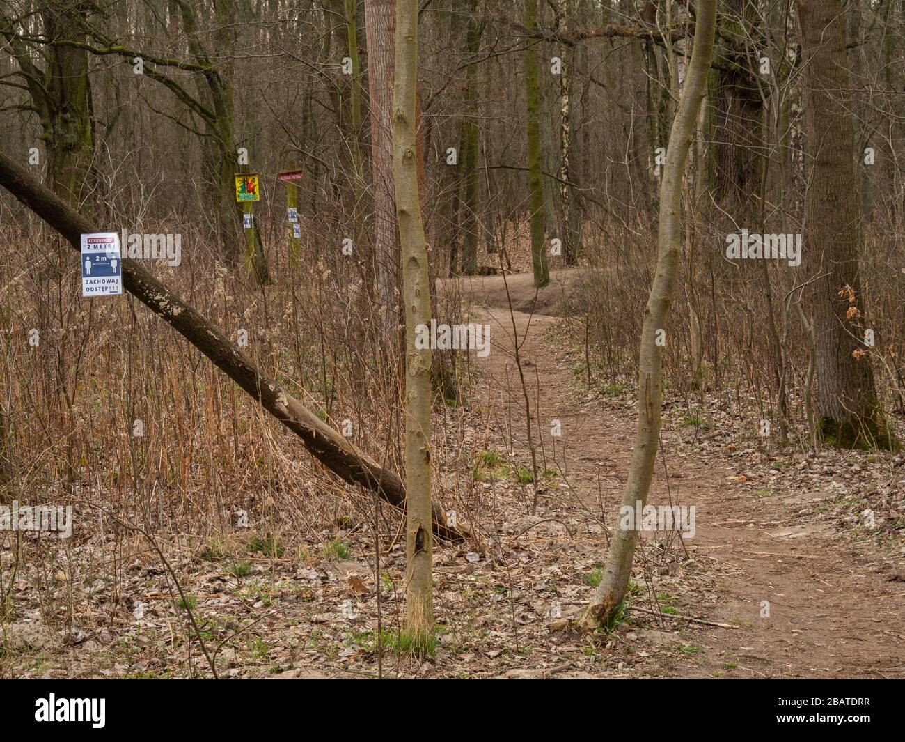 Varsovie/Pologne - 29/03/2020. Le chemin dans la forêt de Kabacki avec des informations sur le maintien de la distance due à la pandémie de coronavirus Banque D'Images