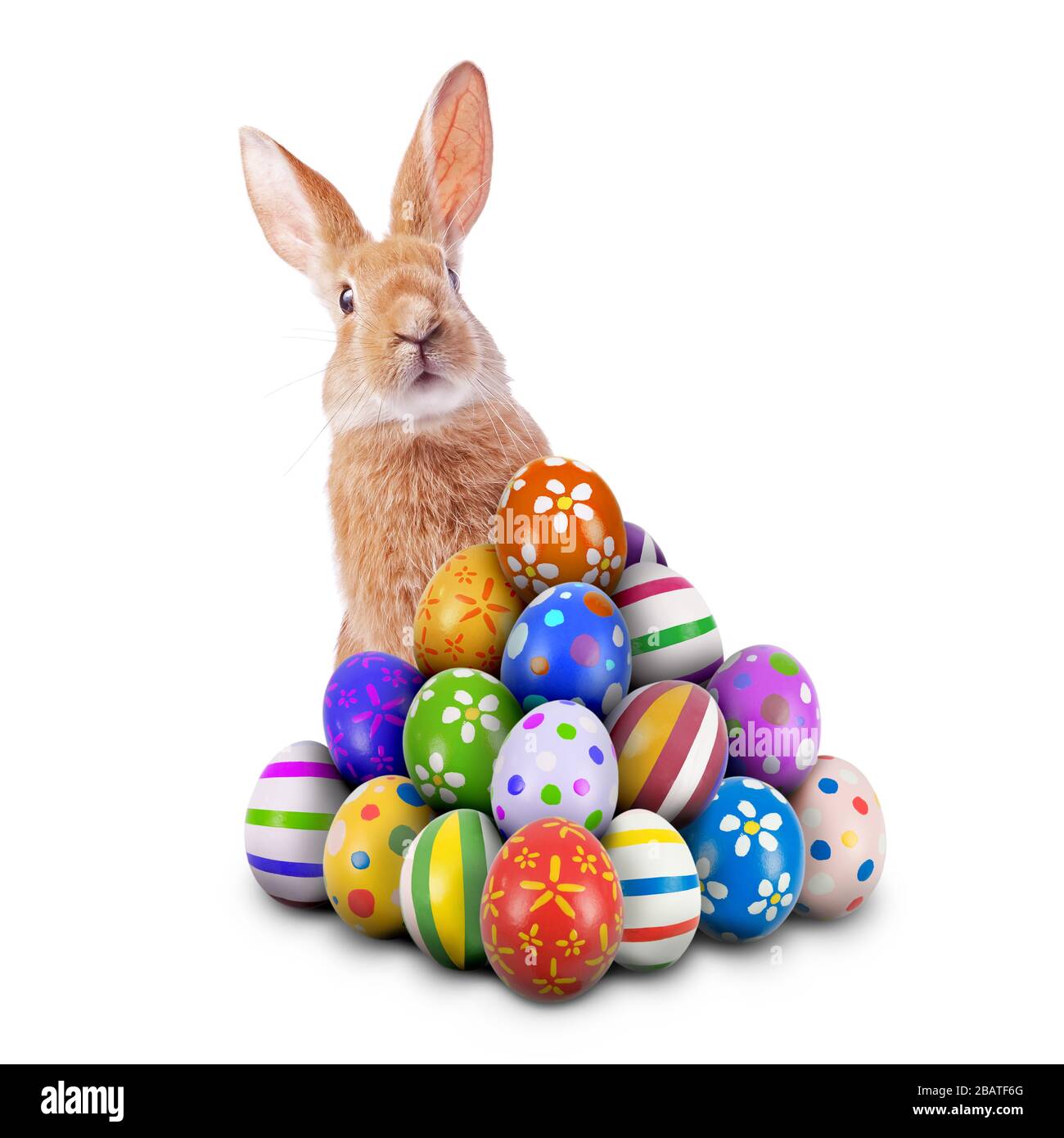Curieux mignon drôle lapin de Pâques lapin de Pâques peeking derrière pile peint oeufs de Pâques décorés orné chasse aux œufs de Pâques jeu isolé fond blanc Banque D'Images