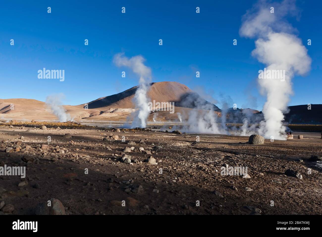 El Tatio Geyser Field et les Andes au lever du soleil, Andes Mountains, Atacama Desert, Chili, couleur Banque D'Images