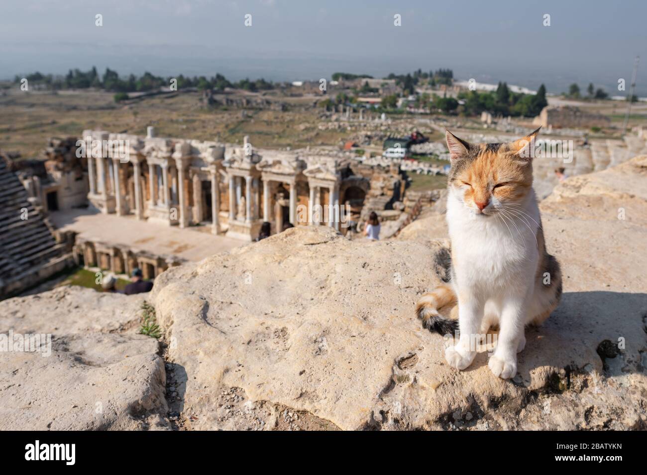 Ruines de l'amphithéâtre dans l'ancienne Hiérapolis, maintenant Pamukkale, Turquie Banque D'Images