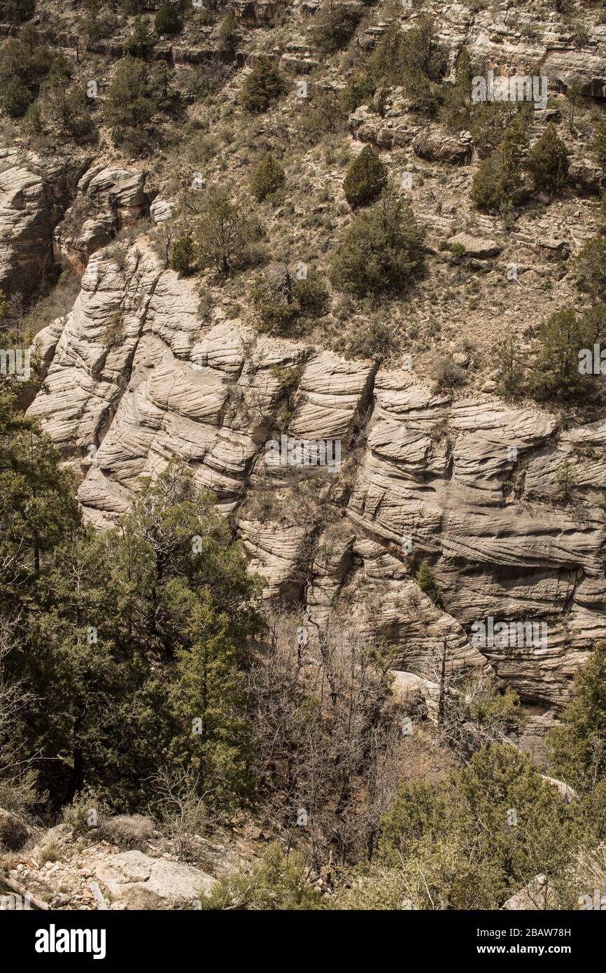 Les falaises et les rochers bordent le côté de Walnut Canyon depuis Island Trail. À l'intérieur de la forêt nationale de Coconino. Magnifique centre d'accueil, grand parking l Banque D'Images