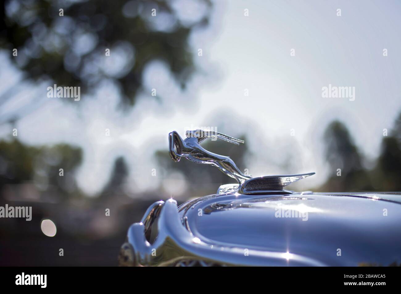 Ornement de capot Gazelle chromé sur une voiture classique Chrysler Imperial des années 1930, un design Art déco symbolisant la vitesse et l'élégance. Banque D'Images