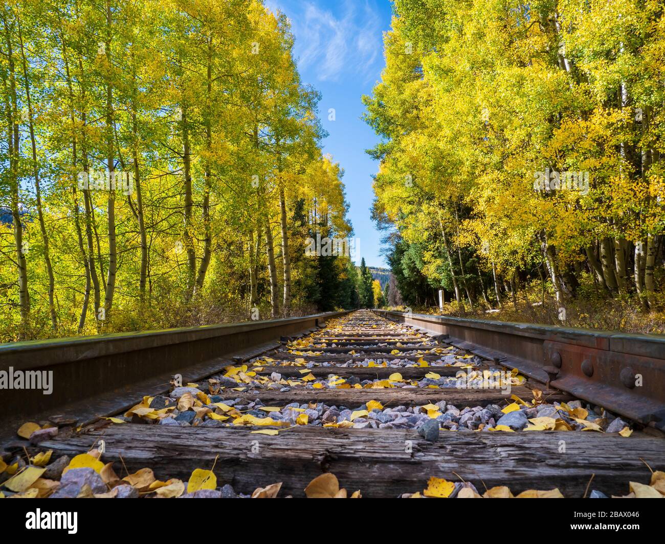 Tremble et rails d'automne près de coxo, de la voie ferrée panoramique de Cumbres et Toltec entre Chama, Nouveau-Mexique et Antonito, Colorado. Banque D'Images