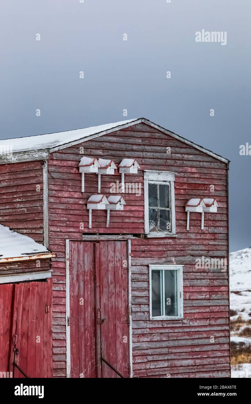 Red stage avec sept maisons d'oiseaux dans Joe Batt's Arm sur l'île Fogo, Terre-Neuve, Canada [pas de mainlevée de propriété; disponible pour licence éditoriale seulement] Banque D'Images