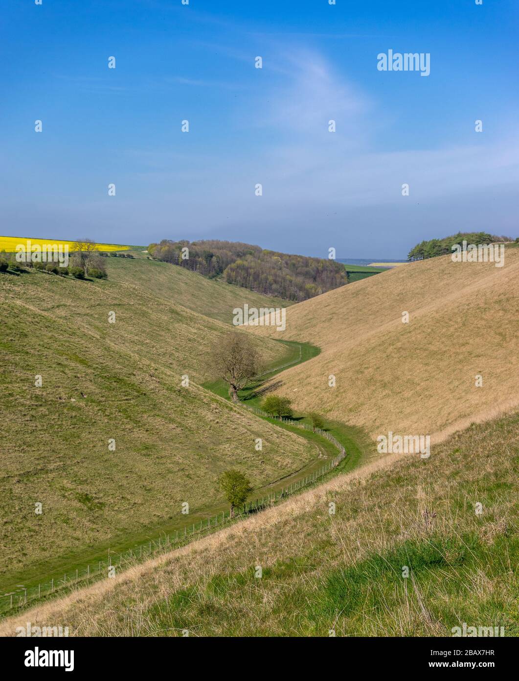 Vue sur la vallée de Horse Dale A dans les Wolds, près de Huggate, une journée ensoleillée. Banque D'Images