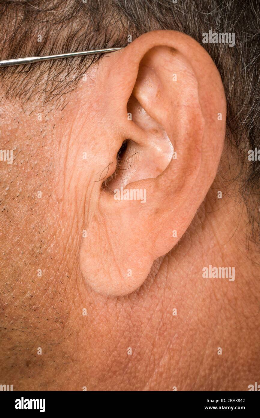 gros plan sur les détails de l'oreille humaine Banque D'Images