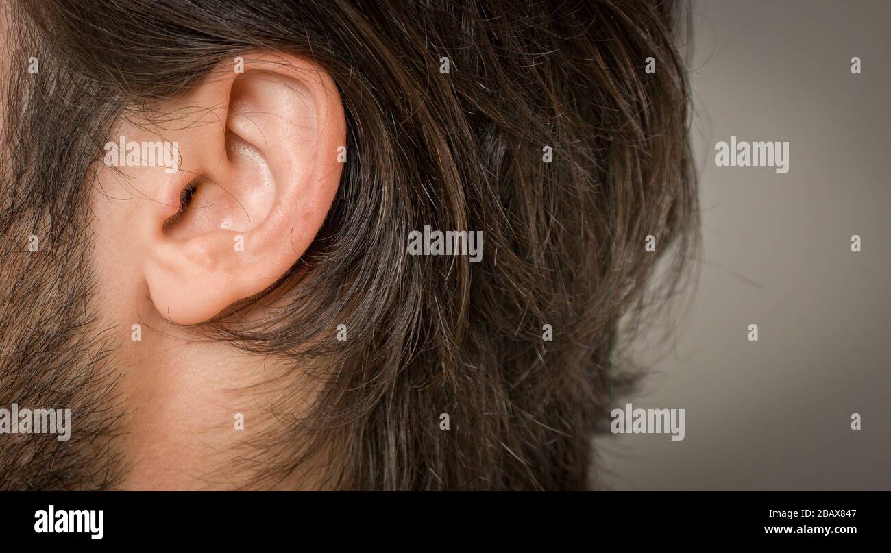 gros plan sur les détails de l'oreille humaine Banque D'Images