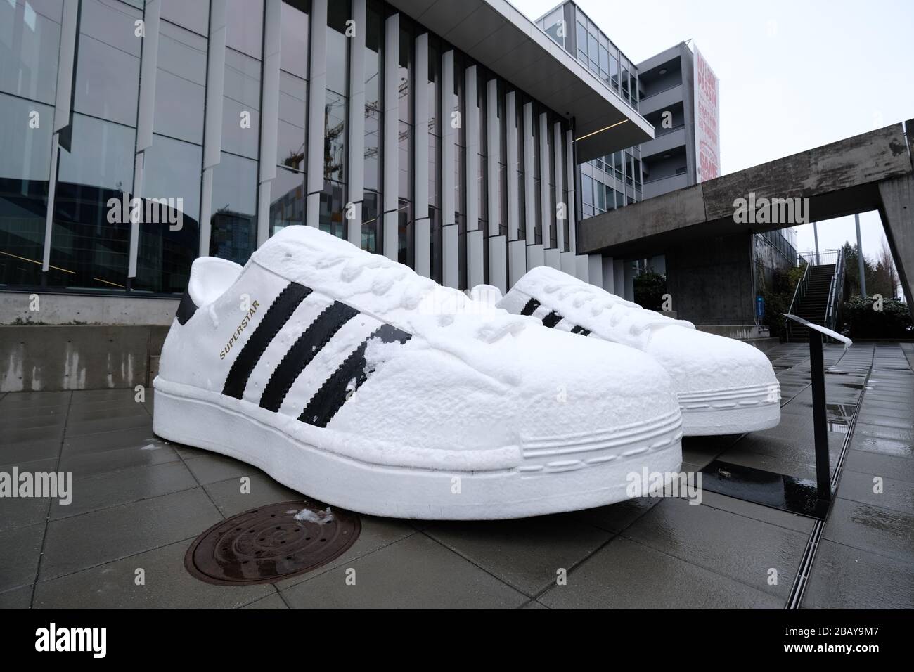 Portland, États-Unis. 14 mars 2020. Un modèle géant de chaussures Superstar  photographié au siège nord-américain d'Adidas à Portland, en Oregon, le 14  mars 2020. La compagnie allemande de chaussures a fermé tous
