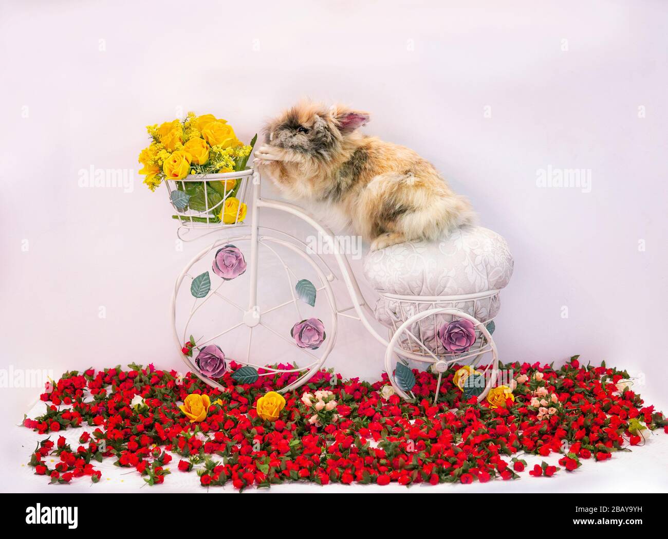 Vélo d'équitation doux à motif lapin avec fleurs de panier de Pâques Banque D'Images