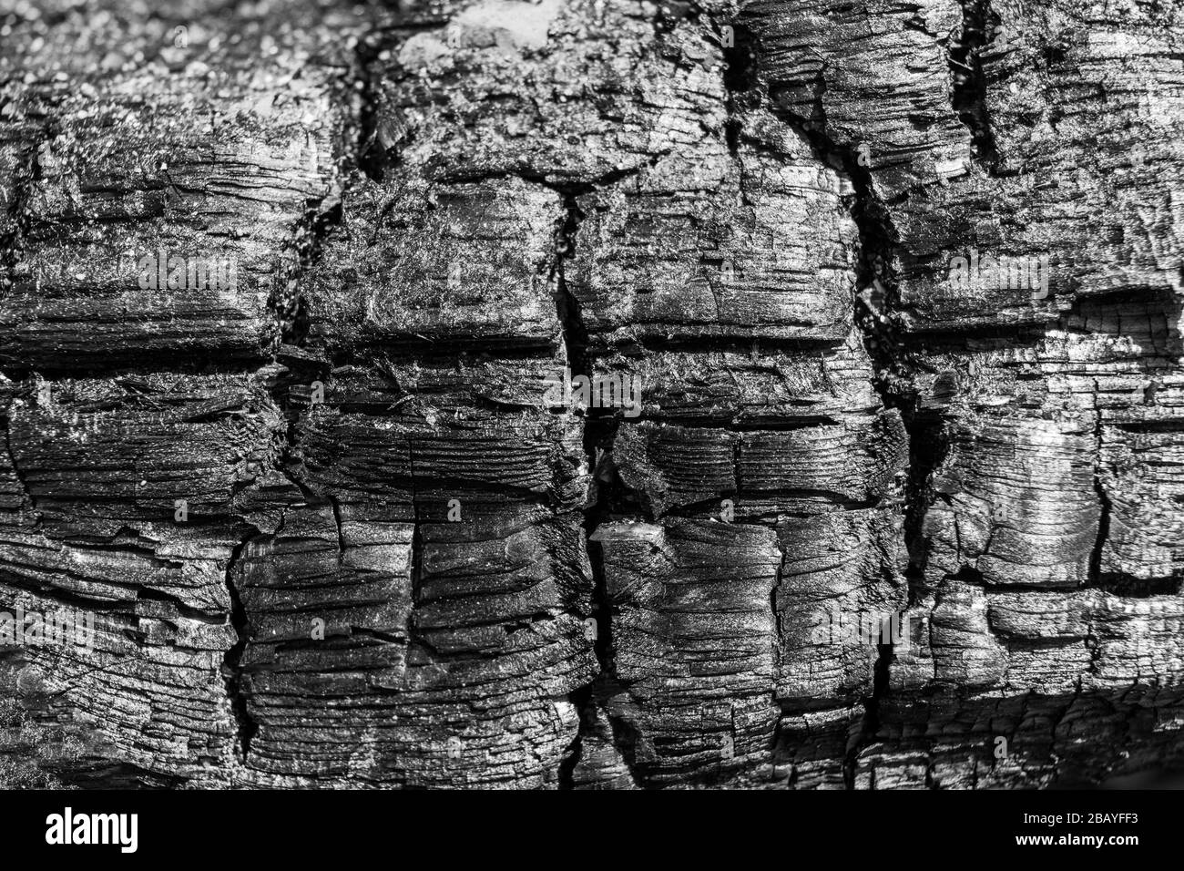 Fond de texture de planche en bois brûlé Banque D'Images