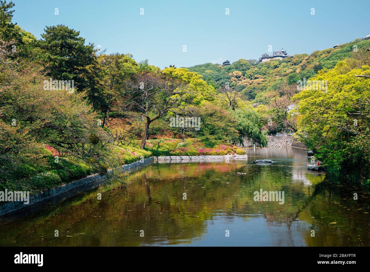 Château de Matsuyama et parc forestier vert à Matsuyama, Shikoku, Japon Banque D'Images