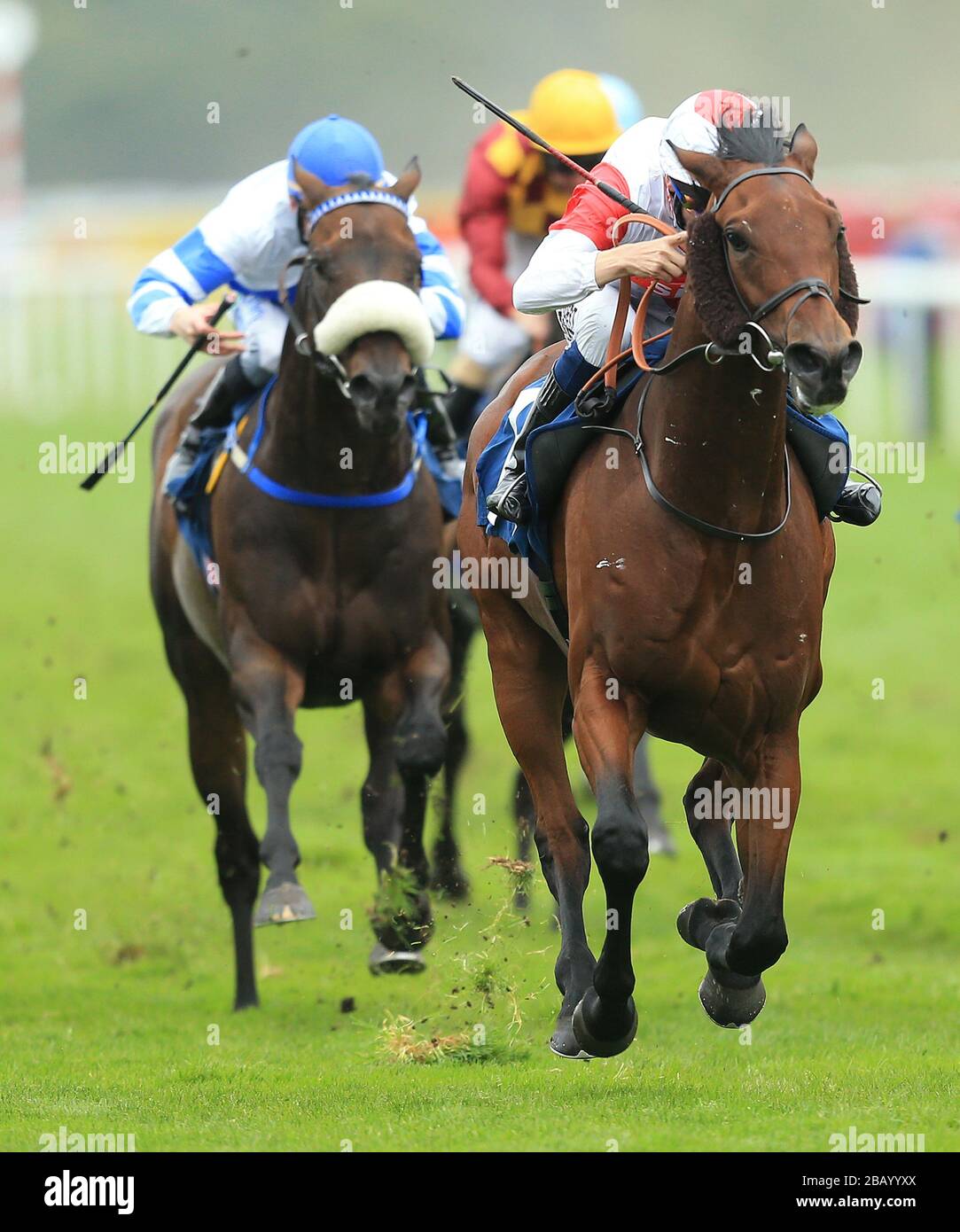 Amadeus Wolfe Tone, monté par Jamie Spencer, remporte les prises Ladbrokes Bingo handicap Banque D'Images