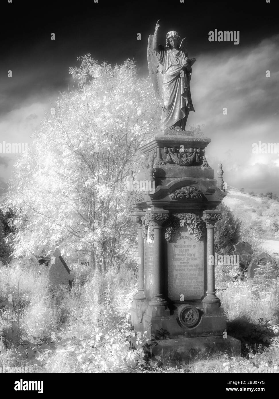 Image infrarouge noir et blanc d'un monument grave. Banque D'Images