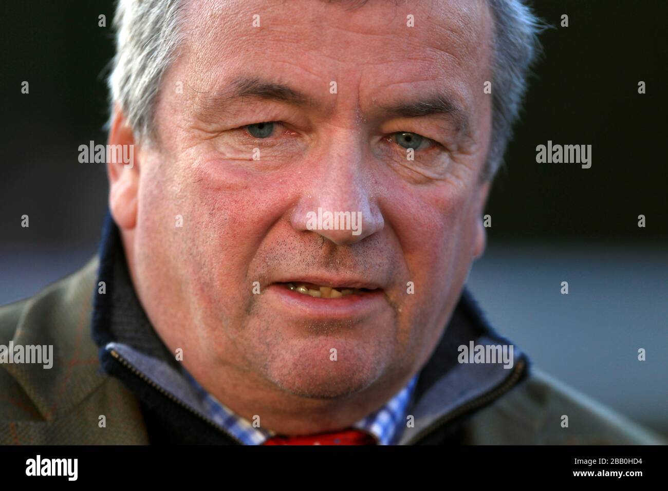 Nigel Twiston-Davies formateur Banque D'Images