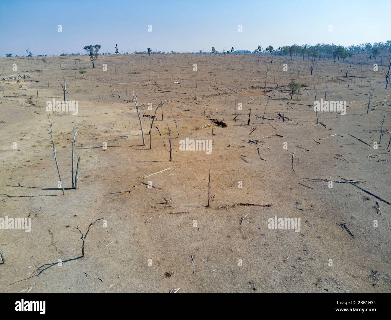 Défrichement des terres pour le bétail en barrant les arbres Queensland Australie Banque D'Images