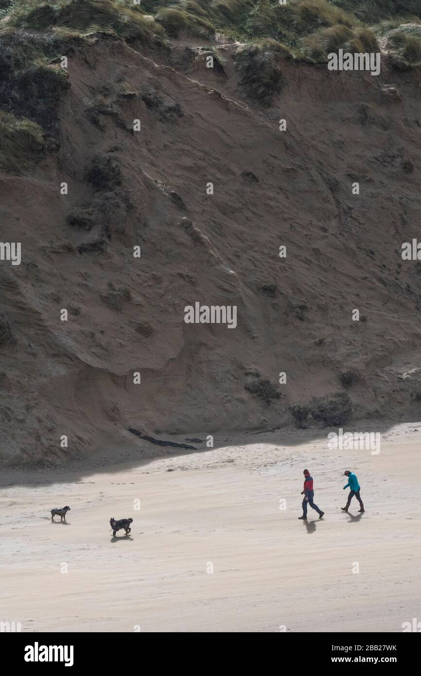 Vu d'une distance des marcheurs de chien et leurs chiens marchent au-delà de l'énorme système de dunes de sable à Crantock Beach à Newquay dans Cornwall. Banque D'Images