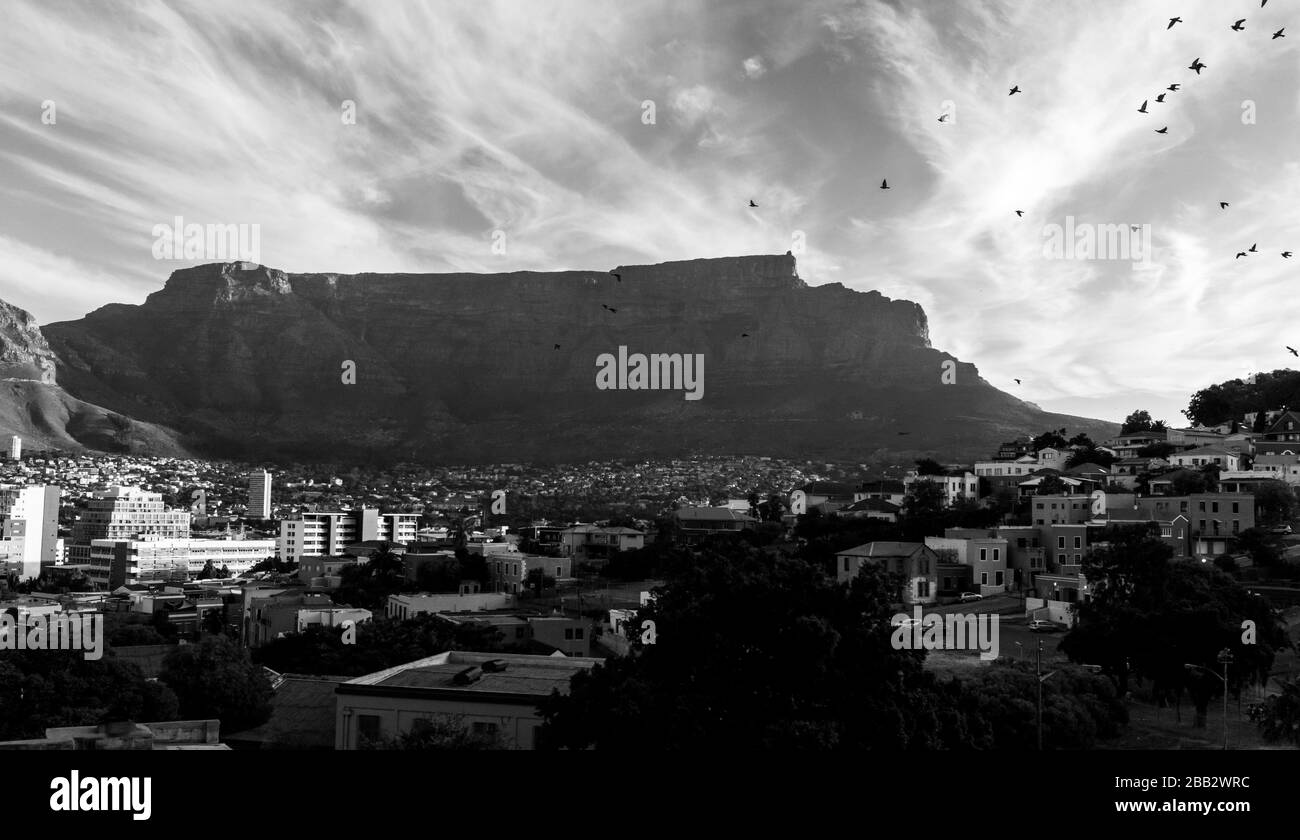 Belle vue de Bo-Kaap ou Malay à la journée ensoleillée avec Table Mountain en arrière-plan avant le coucher du soleil. Photo en noir et blanc. Banque D'Images