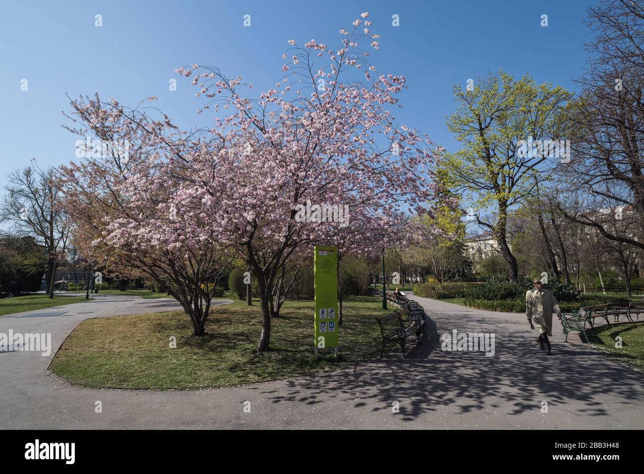 Wien, Stadtpark im Frühling - Vienne, Stadtpark Garden au printemps Banque D'Images