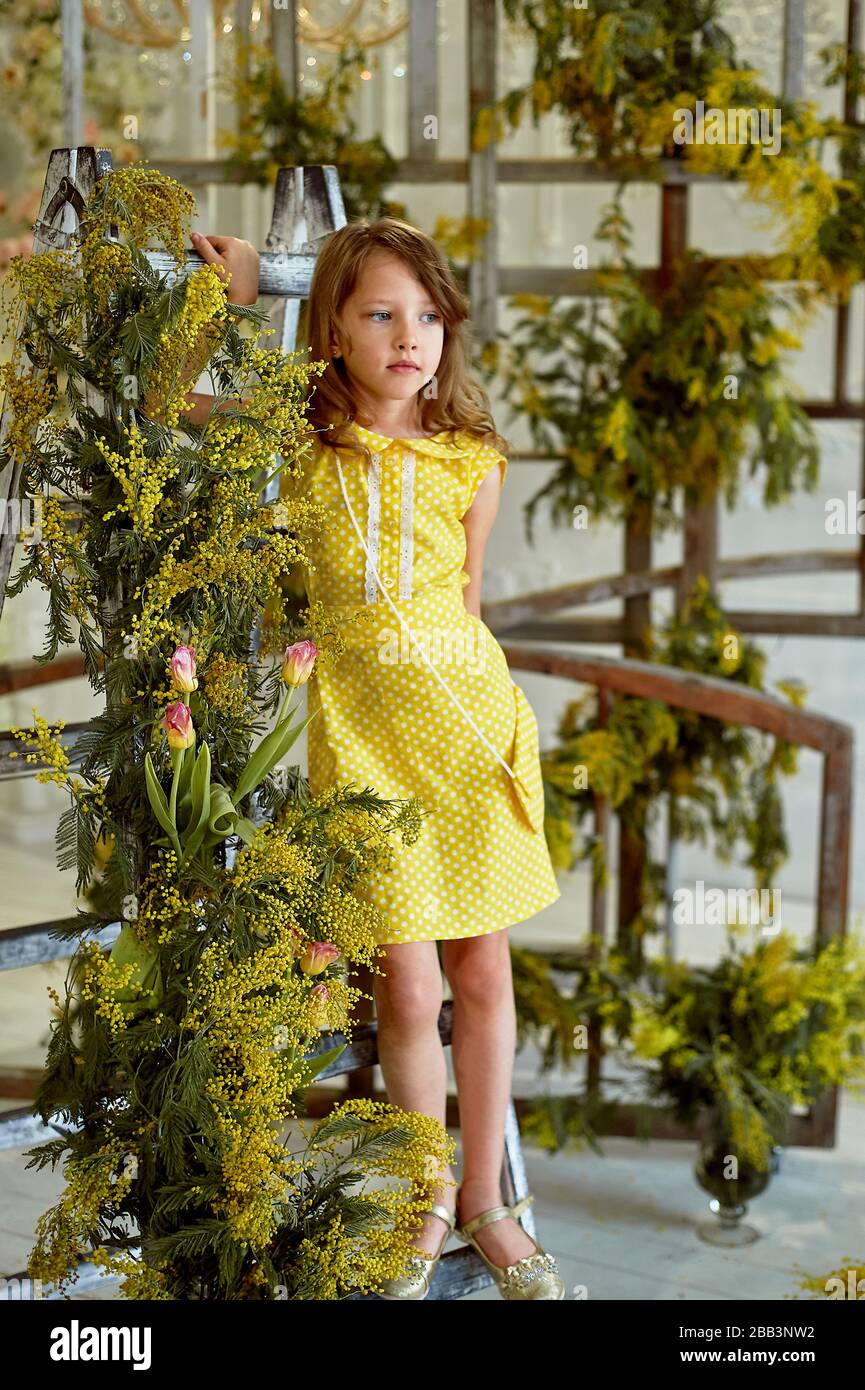 Portrait d'une charmante petite fille de 6 ans dans une robe jaune, sur le  fond d'un beau intérieur en mimosa. Ambiance printanière, cuisine française  raffinée Photo Stock - Alamy