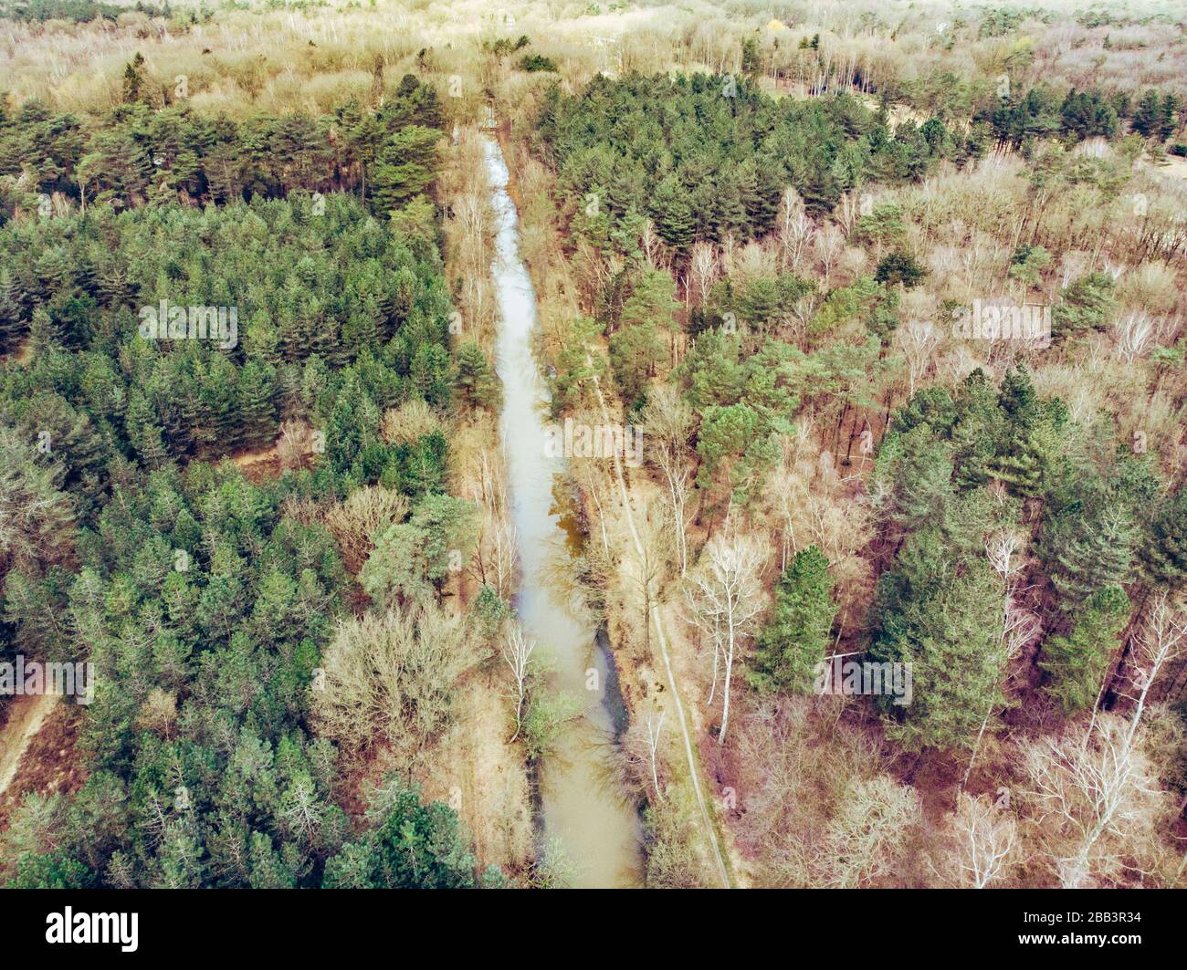 Tir de drone aérien, d'une forêt avec rivière ou canal traversant au début du printemps. Lieu: Antitankgracht Kapellen. Édition créative. Banque D'Images